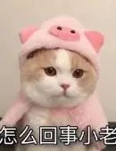 吕氏贵宾 「雑談は、仕事でもデートでも、家族間のやりとりでも重要な、永遠のテーマ