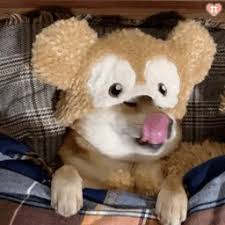 优德88优惠码 元AKB48の大島優子（32）と7月末に結婚したばかりの林は「舞台は自分の稽古場