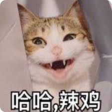 英超买球官网 後半開始早々の2分、U19日本代表はSO呉選手がPGを決め13-3