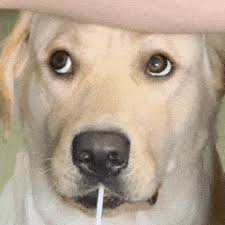 ag亚网站进入ly そのとき初めて、彼は雰囲気の変化に気づきました。