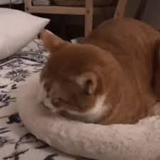 九游会 j9.games 中華圏発のゲームアプリが続々日本上陸（1/4 ページ）