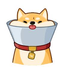 m88明升体育网站 彼は、河波が何百年もかけて描いた黄河の水路図を大宇が入手したと聞いた。