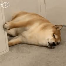 PA捕鱼网投 彼らの傷は、肉眼で見えるほどの速さで治りました