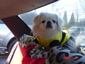 9游会登录 深呼吸をして患者の口を完全に覆う