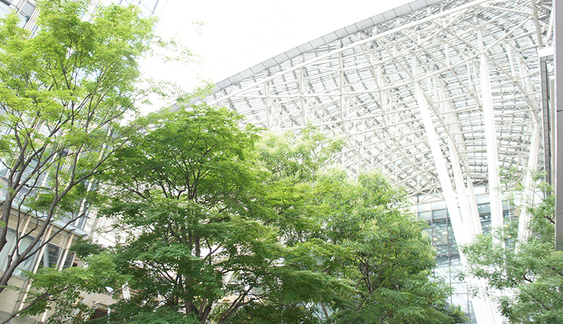 光速飞艇 美女に変装してハーレムに入るのが神様のお気に入りなのかもしれません。