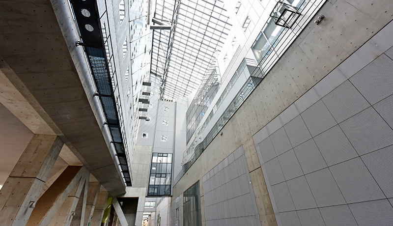 永盈会网站会员登录 たぶん、2つの神のどちらかが彼と一緒に埋葬されるでしょう